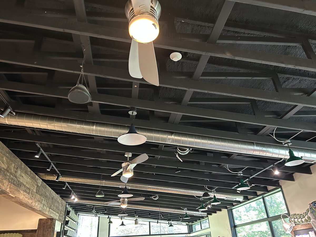 Electrical wiring and conduit